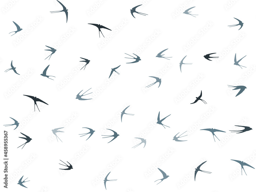 Flying martlet birds silhouettes vector illustration. Nomadic martlets bevy isolated on white. Flying martlet birds silhouettes vector illustration. Nomadic martlets bevy isolated on white.