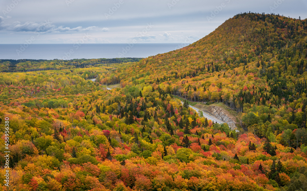 Typical fall colours in an eastern Canadian mixed wood forest.