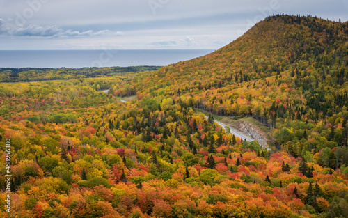 Typical fall colours in an eastern Canadian mixed wood forest.