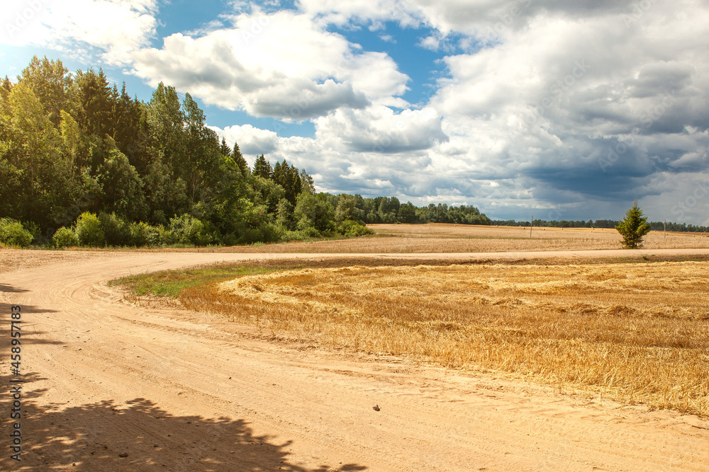 A dirt road turns into a field. A dirt road turns into a field.