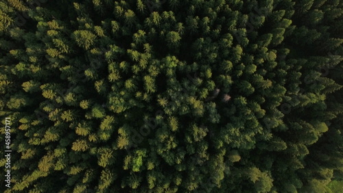 Flying over green forest and village near the road, Russia