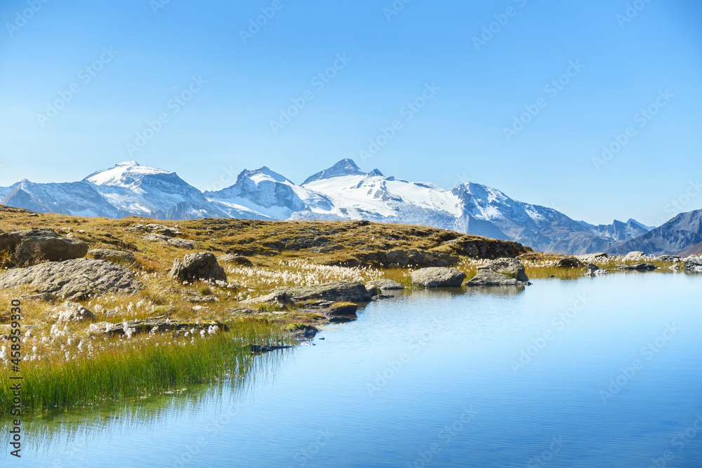 Bergsee mit Wollgras und Blick zum Gletscher im Zillertal