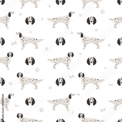 English setter seamless pattern. Different poses, coat colors set