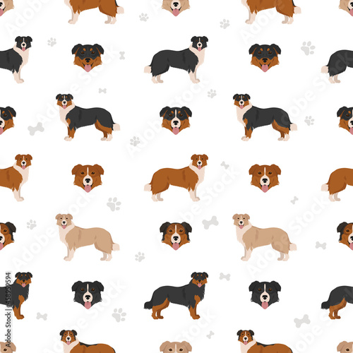 English shepherd seamless pattern. Different poses, coat colors set