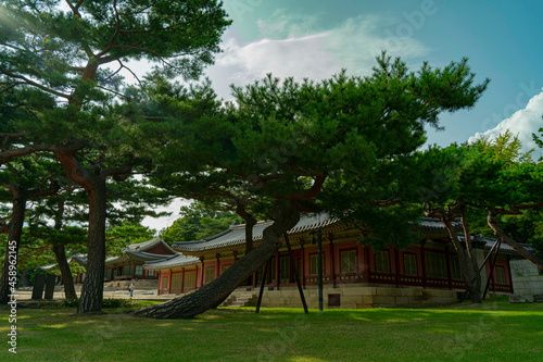 서울 창경궁