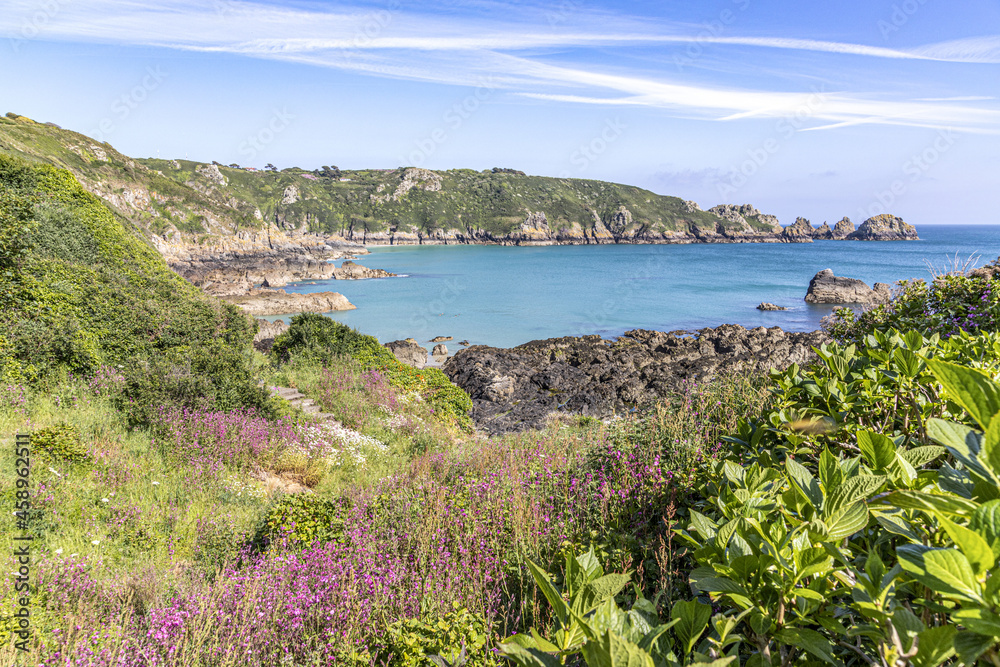 The beautiful rugged south coast of Guernsey - Wildflowers beside the coastal path around Moulin Huet Bay, Guernsey, Channel Islands UK The beautiful rugged south coast of Guernsey - Wildflowers beside the coastal path around Moulin Huet Bay, Guernsey, Channel Islands UK