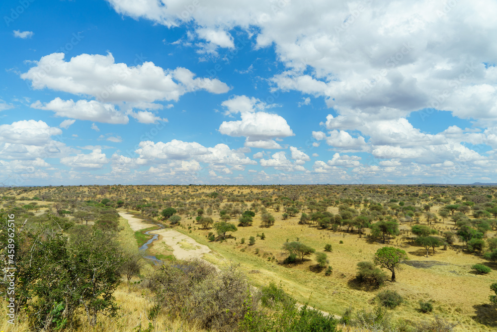 The magnificent scenery of Tarangire National Park in Tanzania, where the blue sky, big clouds and the earth continue endlessly