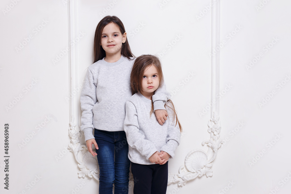 Gorgeous two caucasian sisters posing together on white background, smiling and looking at camera.