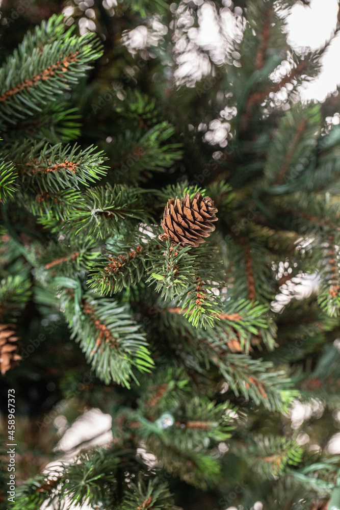 branches of a Christmas tree with cones and garlands