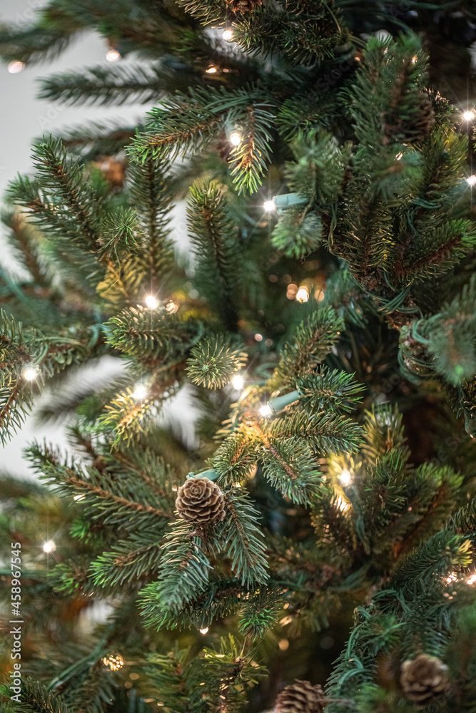 branches of a Christmas tree with garlands
