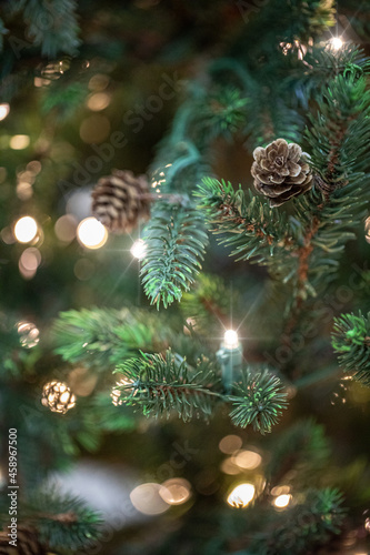 branches of a Christmas tree with cones and garlands