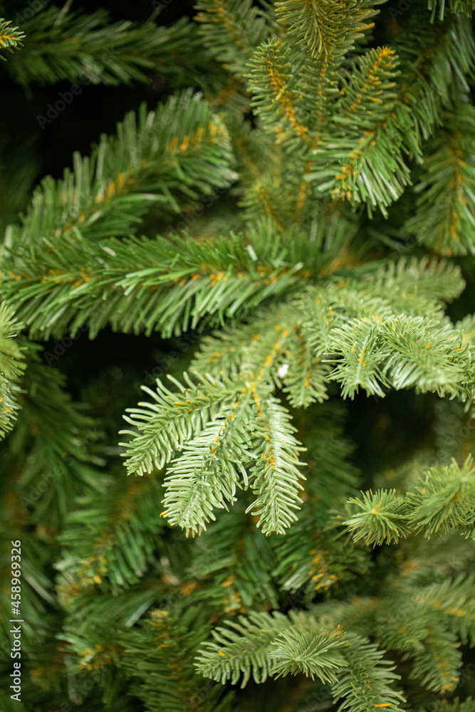 branches of a Christmas tree with garlands
branches of a Christmas tree with garlands