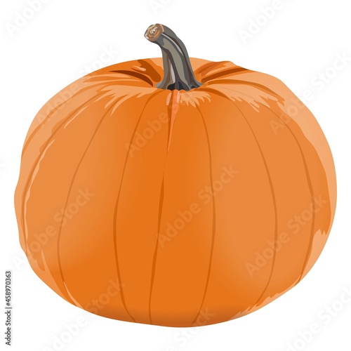 Orange pumpkin for banners, flyers, posters, cards. Sugar pie pumpkin. Halloween. October. Fresh organic, healthy, and vegetarian vegetables. Vector illustration isolated on white background