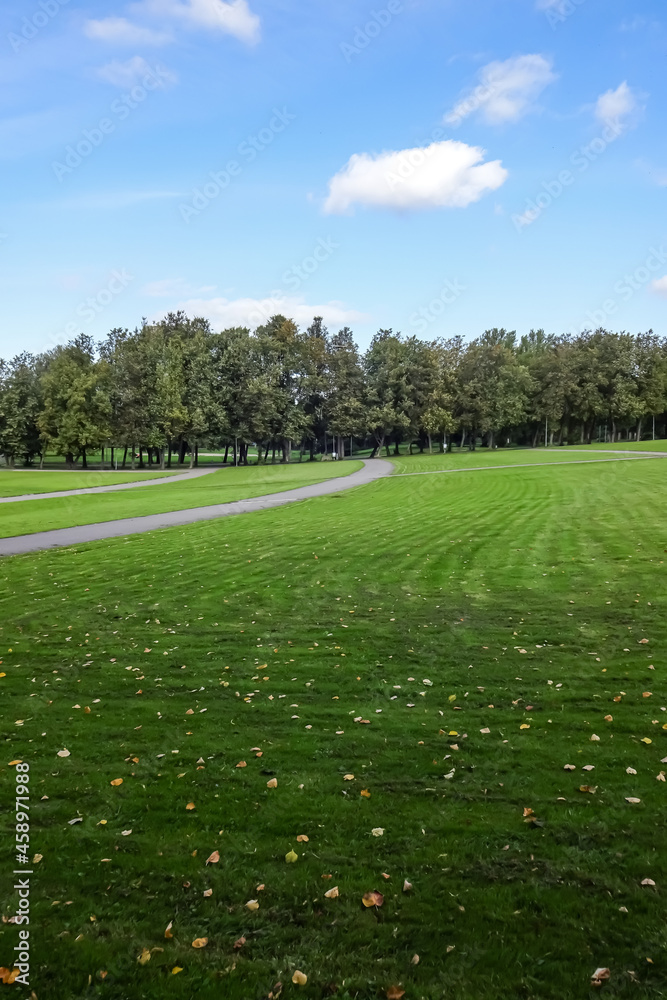 Green lawn covered with dry yellow leaves with green trees on the back. Blue sky with some white clouds. Early autumn. September 2021. Lauluvaljak, Tallinn, Estonia, Europe Green lawn covered with dry yellow leaves with green trees on the back. Blue sky with some white clouds. Early autumn. September 2021. Lauluvaljak, Tallinn, Estonia, Europe