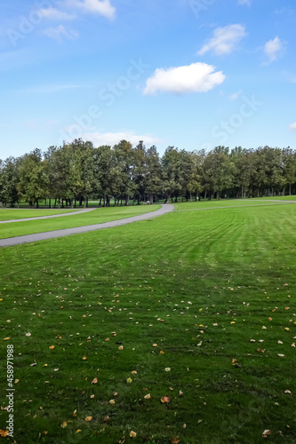 Green lawn covered with dry yellow leaves with green trees on the back. Blue sky with some white clouds. Early autumn. September 2021. Lauluvaljak, Tallinn, Estonia, Europe