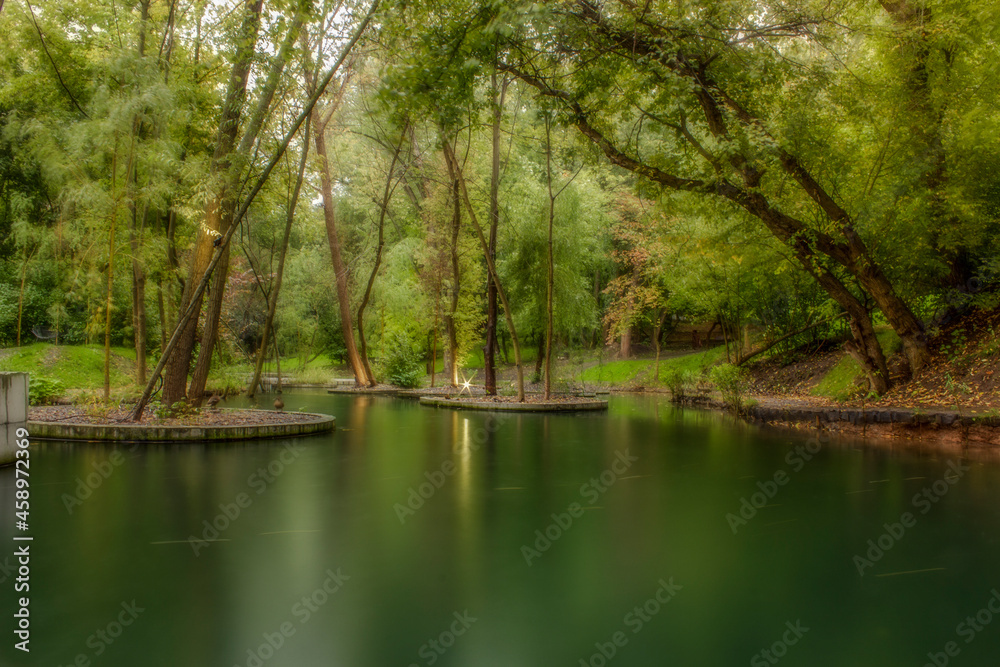 lake in the forest