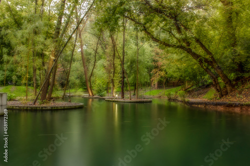 lake in the forest