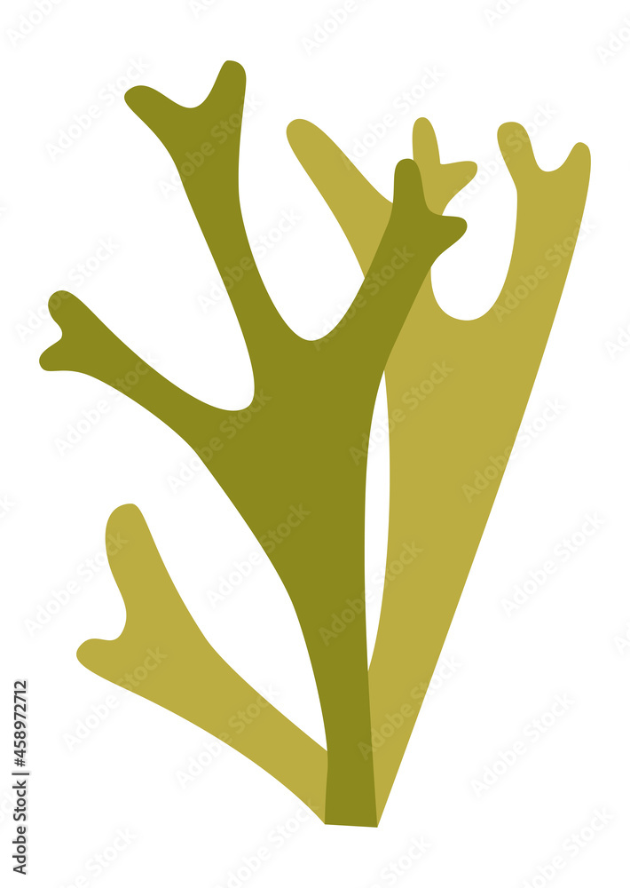 Obraz premium Two sprigs of Icelandic moss for a design, logo or icon