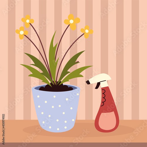 houseplant care and spray