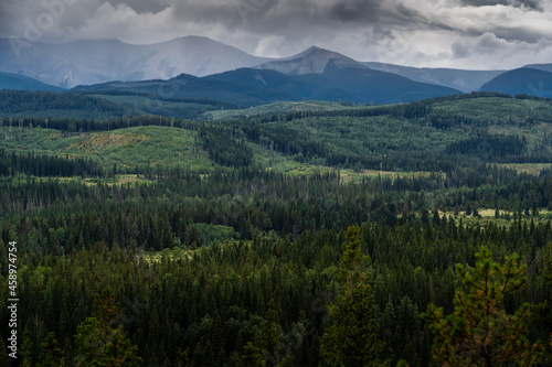 Several clear cuts where logging is taking place in Alberta near the Rocky Mountains in Canada © Ramon Cliff