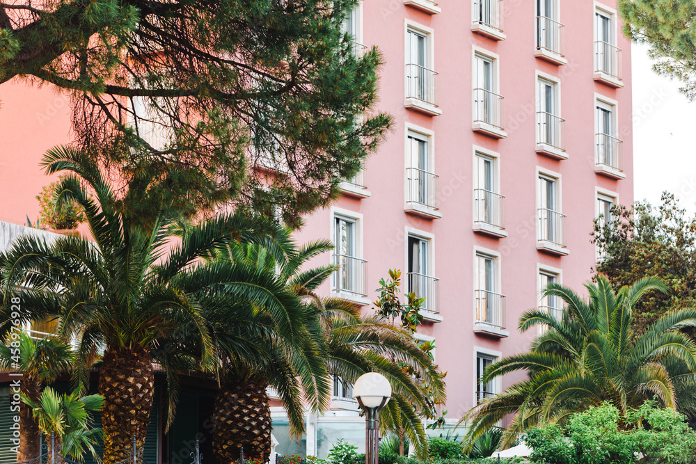 palm trees around hotel resort