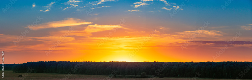 Sunset scene over forest and field