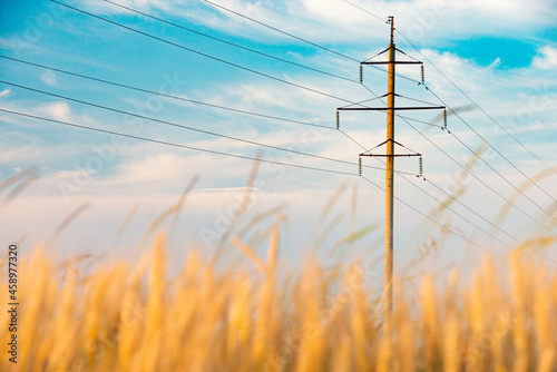 Summer field of wheat with power line