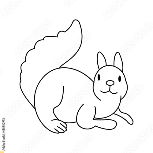 Squirrel Vector Art Graphics Template For Business And Company
