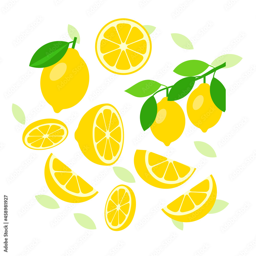 Lemon elements abstract vector design background