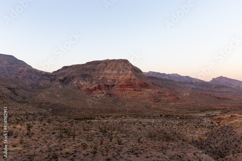 American southwest desert plants and red mountian formations in Arizona, USA