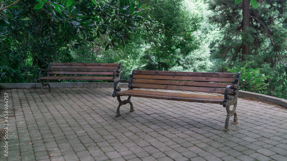 Two old benches in the shade of trees in the park on a cloudy rainy day Two old benches in the shade of trees in the park on a cloudy rainy day
