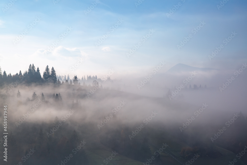 Amazing foggy morning. Landscape with high mountains. Forest of the pine trees. The early morning mist. Touristic place. Natural scenery.