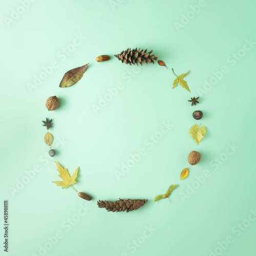 A cirkle made of autumn fruits and leaves. The magical colors of autumn. Minimal flat lay photo