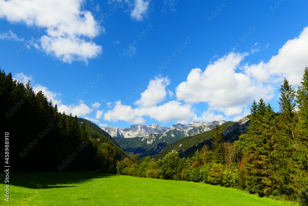 Bergwiesen am Hochschwab