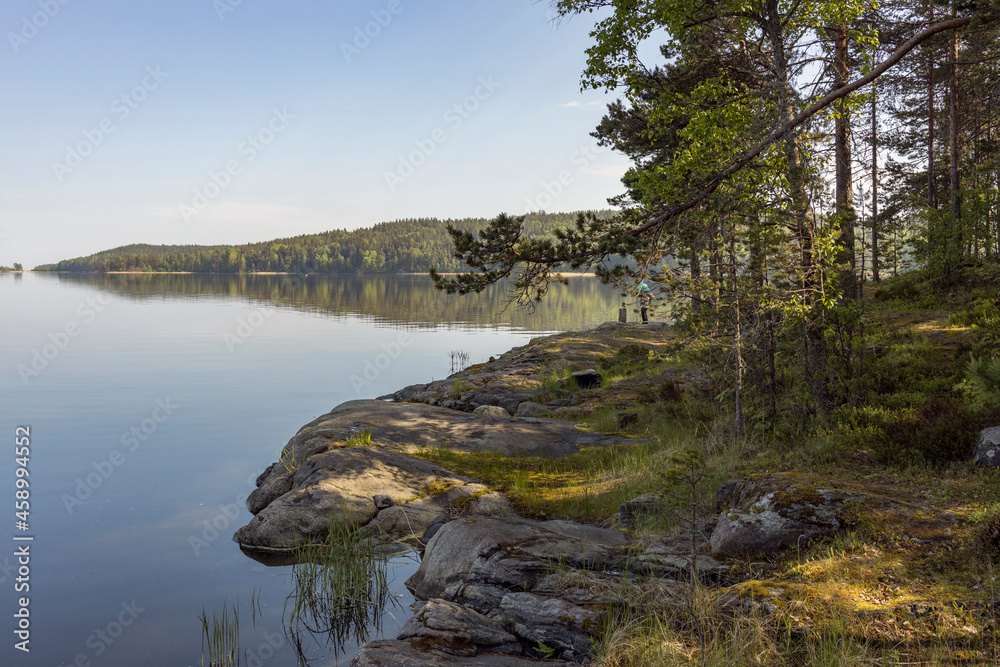 Summer landscape. Landscape with a lake and stones in the foreground. Sunlight on stones overgrown with moss and grasses. Summer landscape. Landscape with a lake and stones in the foreground. Sunlight on stones overgrown with moss and grasses.