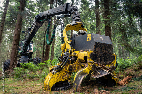 Maszyna do pozyskanie drewna w naturalnym środowisku. 