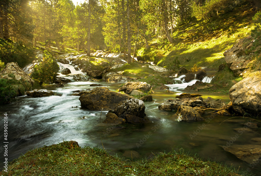 Obraz premium waterfall in the forest