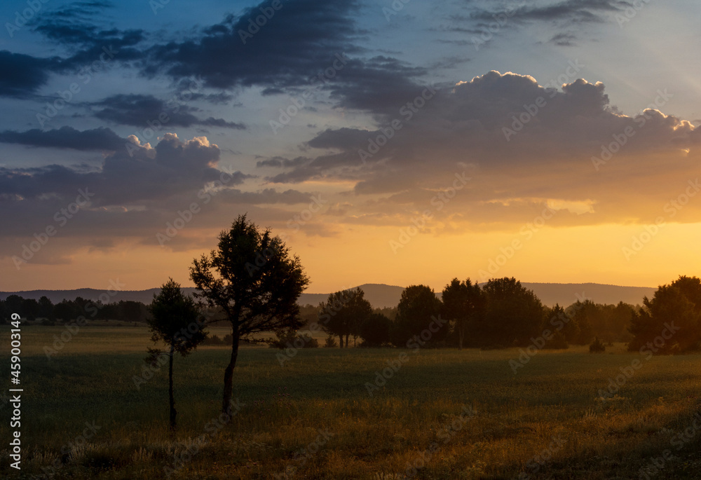 sunrise over the field