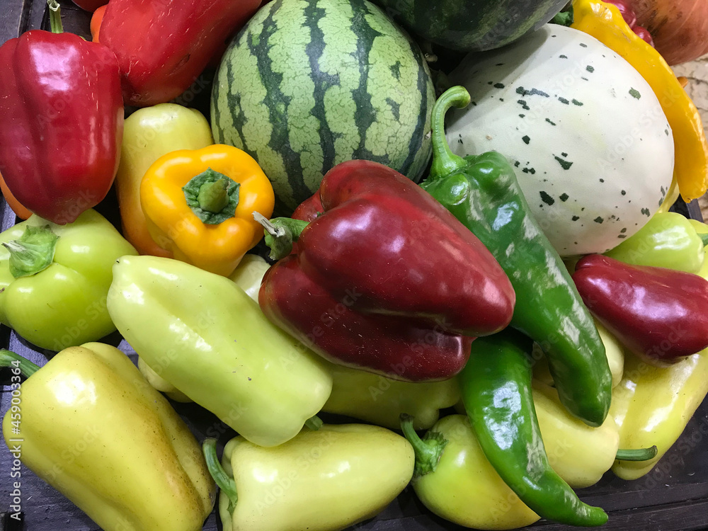 Red, yellow and green bell peppers, watermelon, tomato, autumn harvest