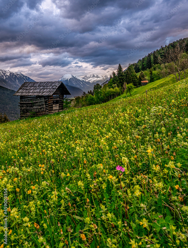 landscape with flowers and fence landscape with flowers and fence