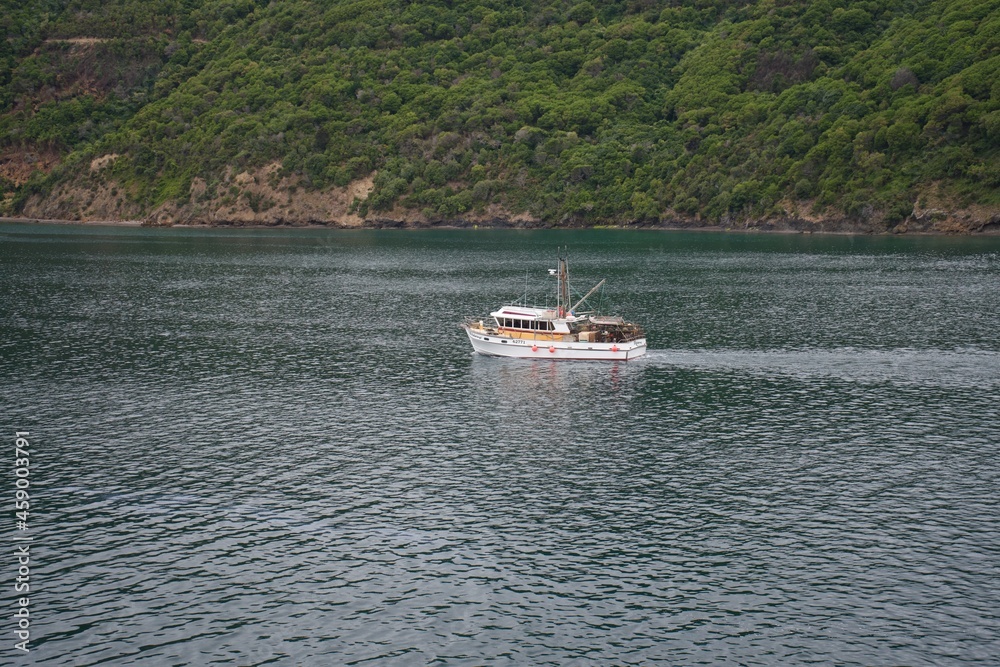 Obraz premium fishing boat crossing Queen Charlotte Sound near Picton in New Zealand