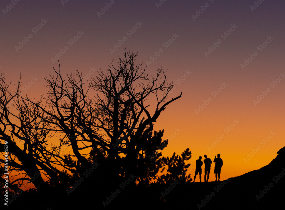 Sunset on Mt Lemmon in Santa Catalin Natural Area in Tucson Arizona