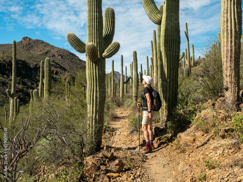 Fotografie Retired woman waking in a trail among saguaro in the desert of Arizona