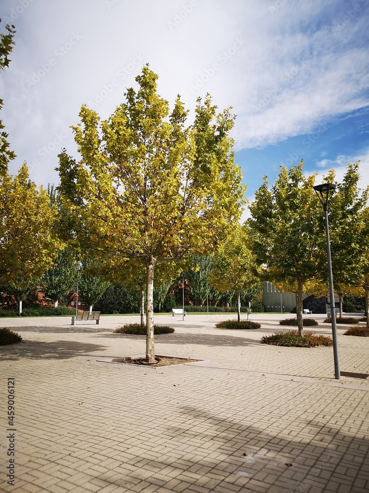 alley in the park in the city in Mostoles Madrid alley in the park in the city in Mostoles Madrid