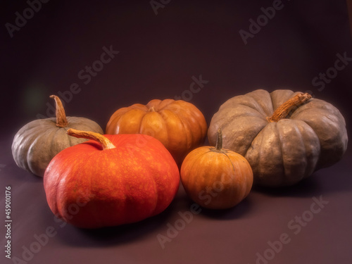 Still life of five pumpkins in close-up on a black background in isolation. Soft mystical lighting with highlights, flare, flicker in the frame. Autumn theme. The holiday of Halloween.