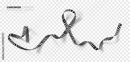 Carcinoid Cancer Awareness Month. Zebra Stripe Color Ribbon