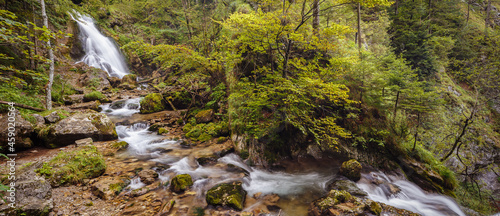 Trefflingfall