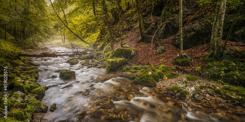 Trefflingfall