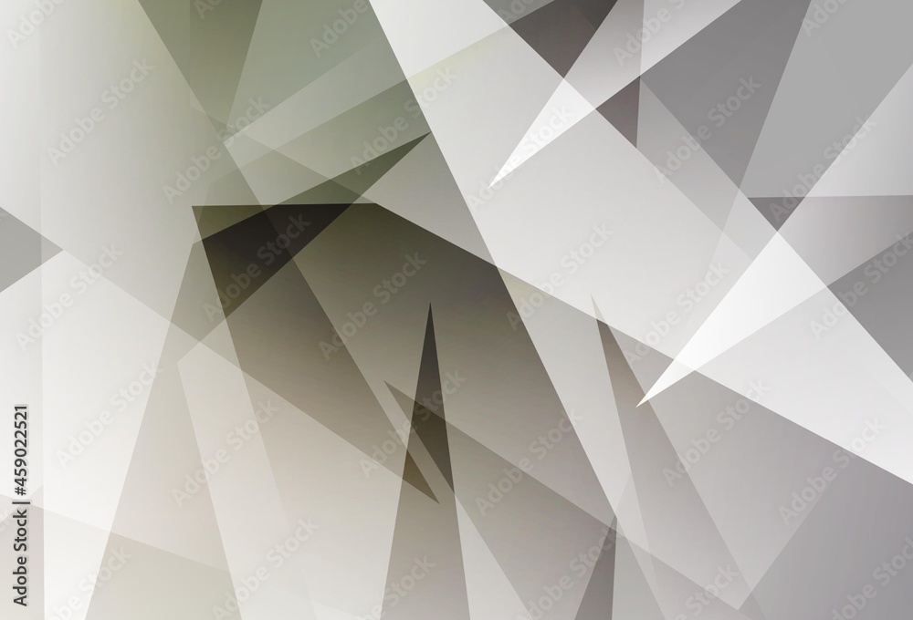 Fototapeta premium Light Gray vector background with polygonal style.