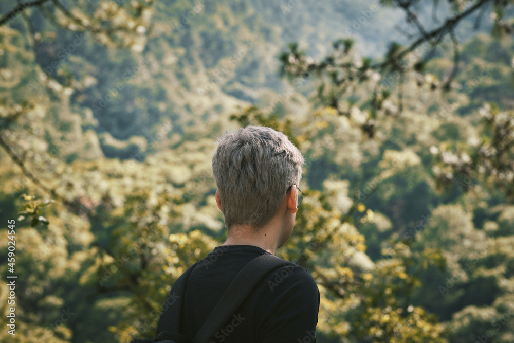 Man looking at forest Man looking at forest